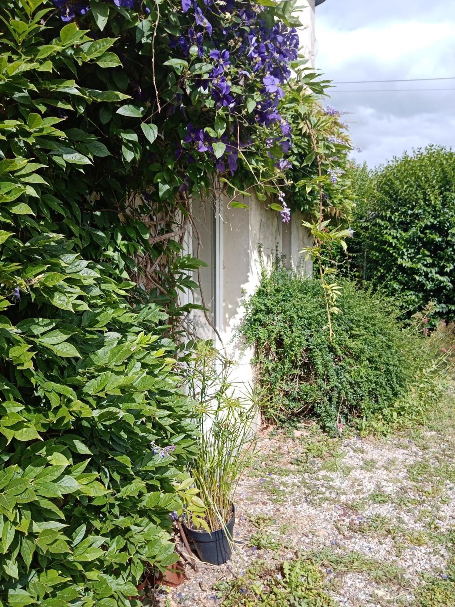 Bed and Breakfast Rose Garden Bayeux Exteriér fotografie